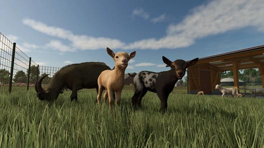 Farming Simulator 25 (Steam) preview image