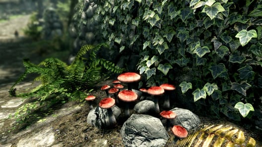 The Elder Scrolls V: Skyrim - Special Edition preview image
