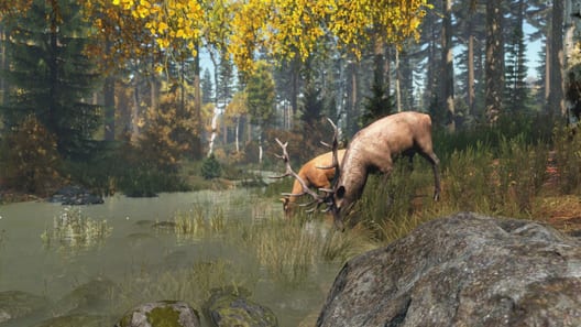 DayZ preview image
