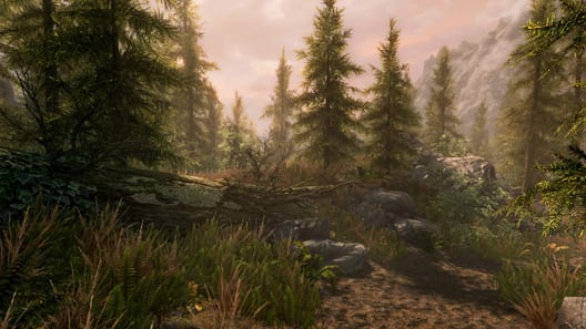 The Elder Scrolls V: Skyrim - Special Edition preview image