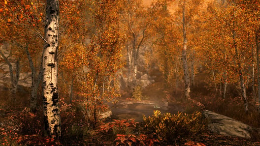The Elder Scrolls V: Skyrim - Special Edition preview image