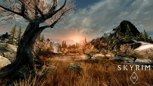 The Elder Scrolls V: Skyrim VR preview image