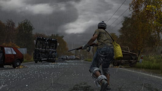 DayZ preview image